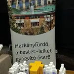 Apartment Oazis *