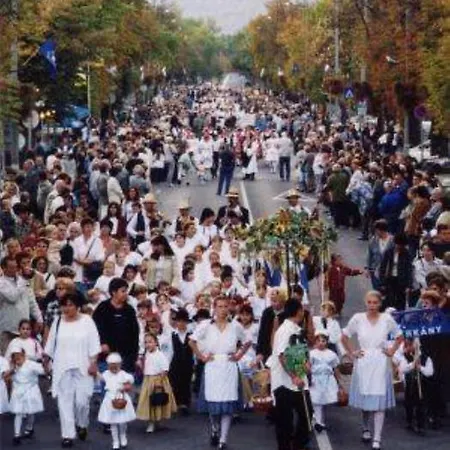 Oázis *